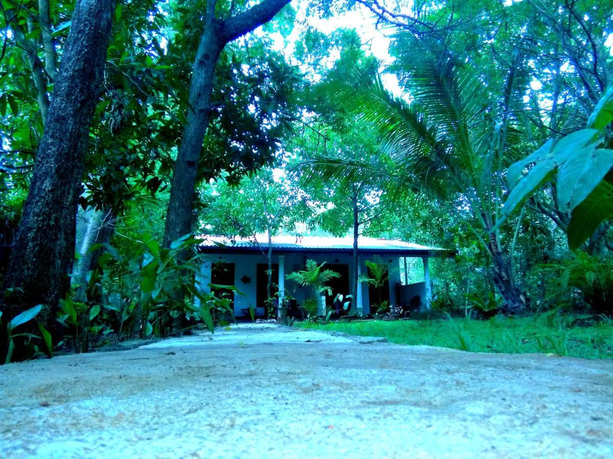 Sigiri Mango Garden Resort Sigiriya Exterior foto